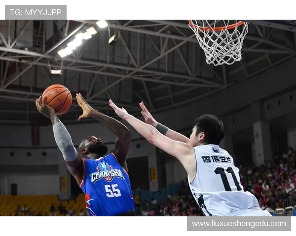 北京篮球队总决赛表现分析实力展现与未来发展潜力探讨